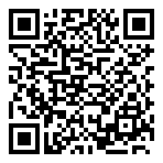 QR-Code - Professional Gaming 02